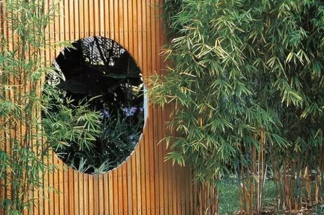 庭院木质景墙，成为你院子里最舒适的一道风景墙！
